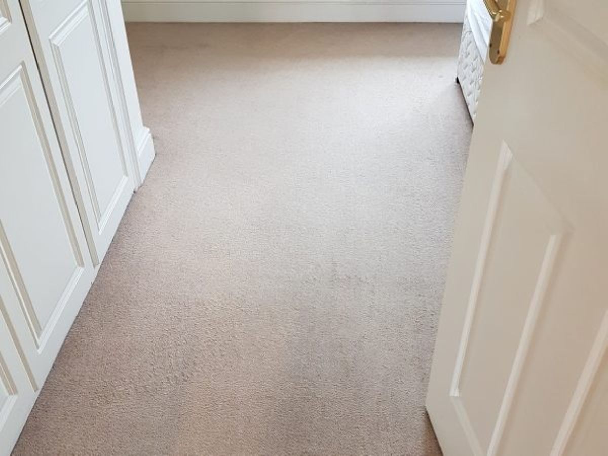 Carpet, Rug, Upholstery and Leather Cleaners